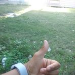 Felipe lamb - Facebook
