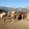 felipe landeros - @felipelanderos16 - TikTok