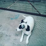 felipeflow - @felipe_lebron23 - Instagram