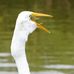 Felipe Lenz - Facebook