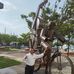 Felipe Leon - Facebook