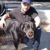 Felipe Limon - @felipe.limon12 - TikTok
