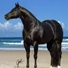 felipelimones273 - @felipelimones273 - TikTok