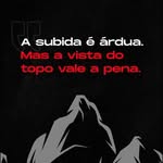 Felipe Linke Trader - @felipe__linke - Instagram