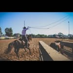 Felipe links - @felipe.links - Instagram
