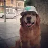 Star_dash⭐️ - @felipellamas1 - TikTok