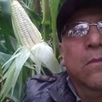 Sixto Felipe Llave Arenas - @llavearenassixtofelipe - Instagram