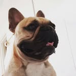 Felipe Lora - @dflorajurado - Instagram