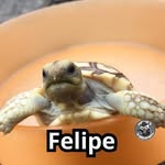 Felipe Machuca - @felipe_machuca_ - Instagram