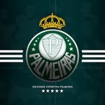 Felipe Mancha Alviverde - @palmeirensedadepressao - Instagram
