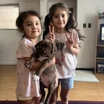 Felipe Mario Ga - @felipemarioga - Instagram
