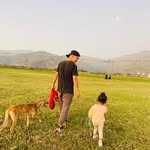 Felipe Mario Javier Gonzalez Barraza - @felipemario17 - Instagram