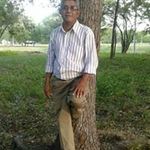 Felipe Matute - @felipematuteoliv - Instagram