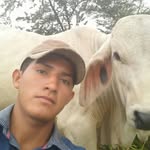 felipe mayo - @mayo.felipe - Instagram