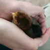 Felipe Medrano Sr. - @felipe.medrano.sr - TikTok