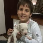 Felipe Melgar Arredondo - @felipemelgararredondo - Instagram