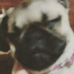 felipemelgar - @felipemelgar52 - Instagram