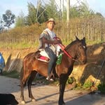 felipe mesa - @felipemesa93 - Instagram