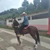 felipemesa361 - @felipemesa361 - TikTok