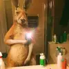 Felipe - @felipemeza00 - TikTok