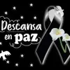 Felipe Meza - @felipe.meza73 - TikTok