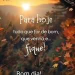 Felipe Michel - @felipemichel365 - Instagram