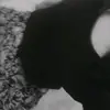 Michel Felipe - @michel.felipe04 - TikTok