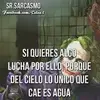 Felipe Mireles - @felipemireles32 - TikTok