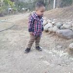Felipe Morfin - @felipe.morfin.37 - Instagram