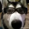 felipe :) - @felipe.murillo - TikTok