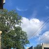 Felipe Obregon - @felipe.obregon66 - TikTok