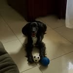 Felipe Oconitrillo - @felipeoconitrillo - Instagram