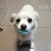 Felipe Oconitrillo - @felipeoconitrillo - TikTok