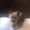 Felipe Olmos Frez - @felipeolmosf - TikTok