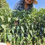 Felipe Nevarez Osuna - @felipe_nevarezosuna - Instagram