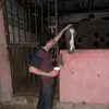 Felipe Osuna - @feliposuna - TikTok