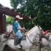 Felipe Palacio - Facebook