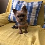 Felipe Perales - @felipe.perales - Instagram