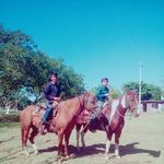 Felipe Perales - @luisfelipe.hernandez.3110567 - Instagram