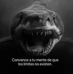 Felipe Plascencia - Facebook