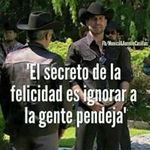 Felipe Quesada - @felipe.quesada.716 - Instagram
