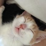 Felipe Quezada - @_felipequezadaf - Instagram