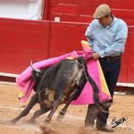 Felipe Raya - @felipe.raya.14 - Instagram