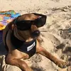 felipemrea - @felipemrea - TikTok