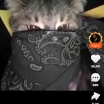 Felipe Robert Soares Santos - @feliperobertsoares - Instagram