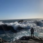 Felipe Roca - @feliperoca_ - Instagram