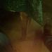 Felipe Rubio - Facebook
