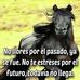 Felipe Salcedo - Facebook