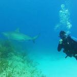 Felipe Salcedo - @pipe_salcedo - Instagram