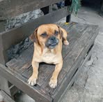 Felipe Samano - Facebook